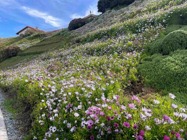 421 Santa Helena, Solana Beach, CA 92075