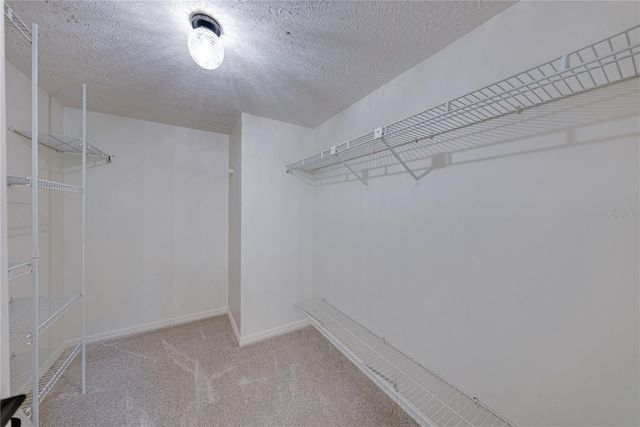 3501 E TRAPNELL ROAD, Plant City, FL 33566