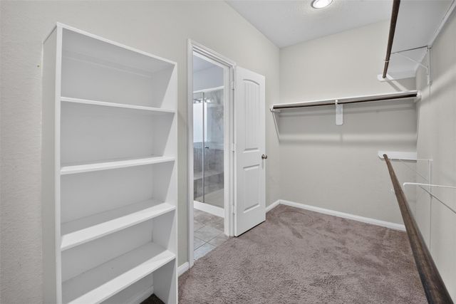 23715 Springwolf Drive, Spring, TX 77373