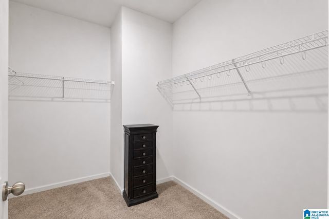 1193 MOUNTAIN LAUREL CIRCLE, Moody, AL 35004