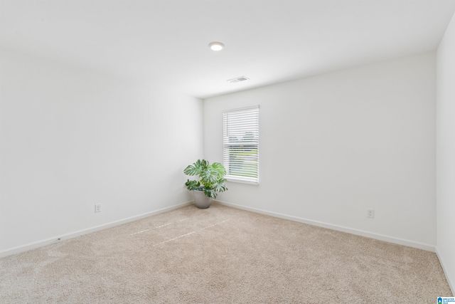 1193 MOUNTAIN LAUREL CIRCLE, Moody, AL 35004