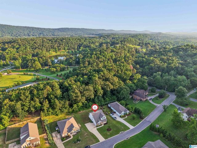 1193 MOUNTAIN LAUREL CIRCLE, Moody, AL 35004