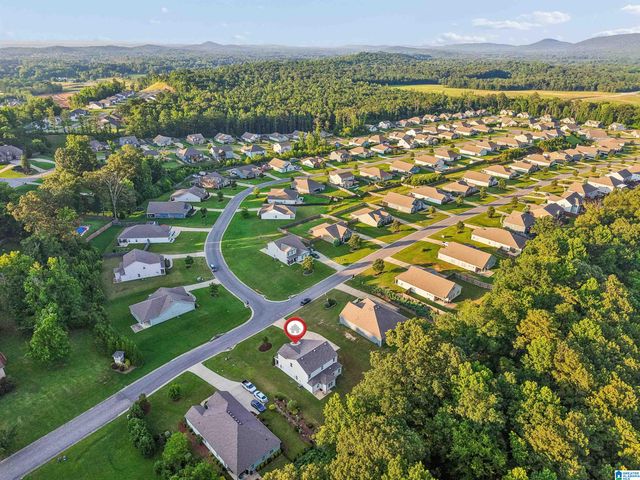 1193 MOUNTAIN LAUREL CIRCLE, Moody, AL 35004