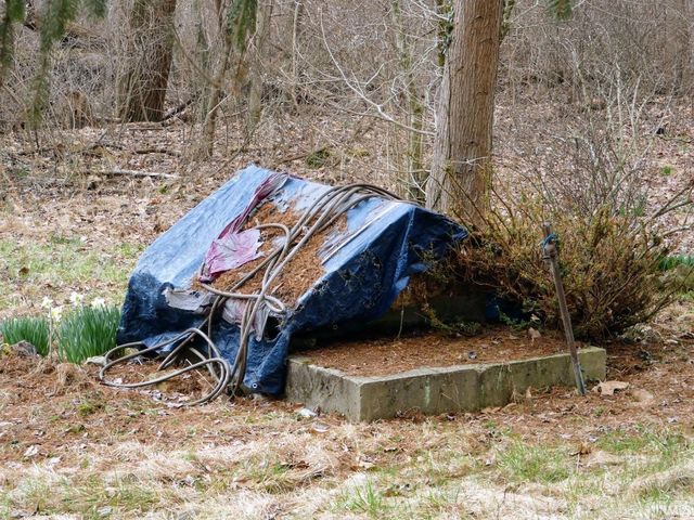 895 Wells Ln, Springville, IN 47462