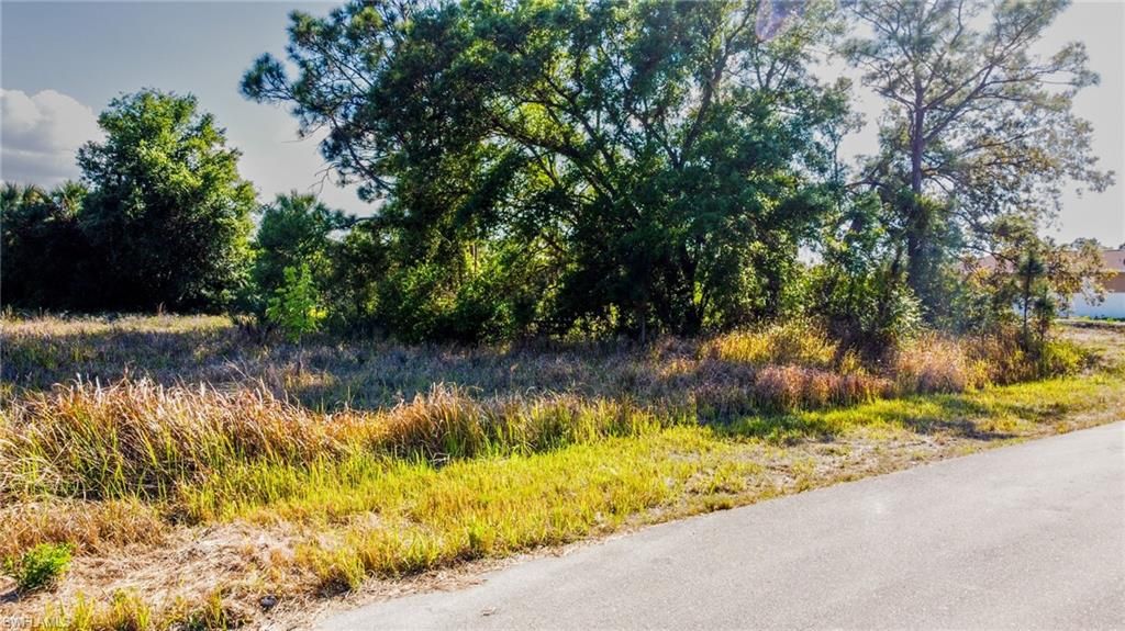 3421 39th ST SW, LEHIGH ACRES, FL 33976 — photo 2