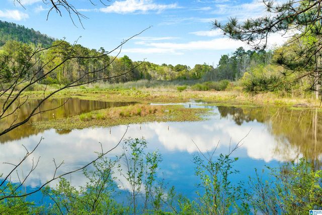 5979 FOREST LAKES COVE, Sterrett, AL 35147