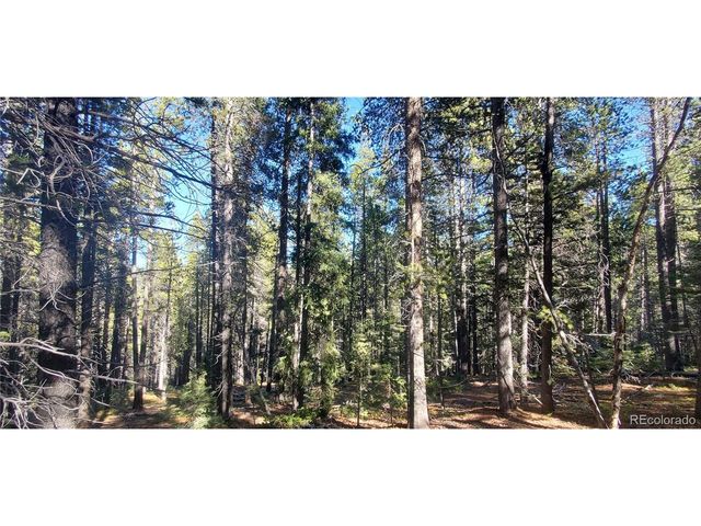 2999 Drexler Pl, Fort Garland, CO 81133