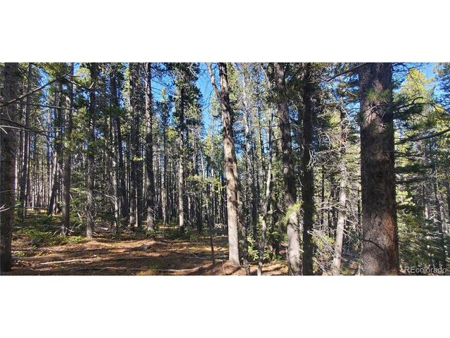 2999 Drexler Pl, Fort Garland, CO 81133