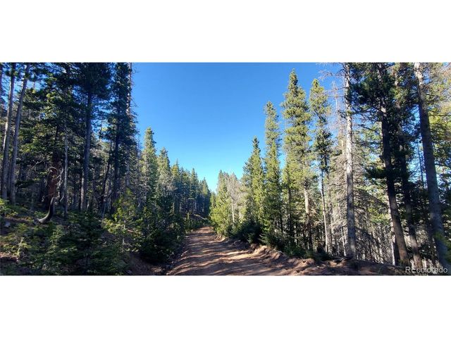 2999 Drexler Pl, Fort Garland, CO 81133