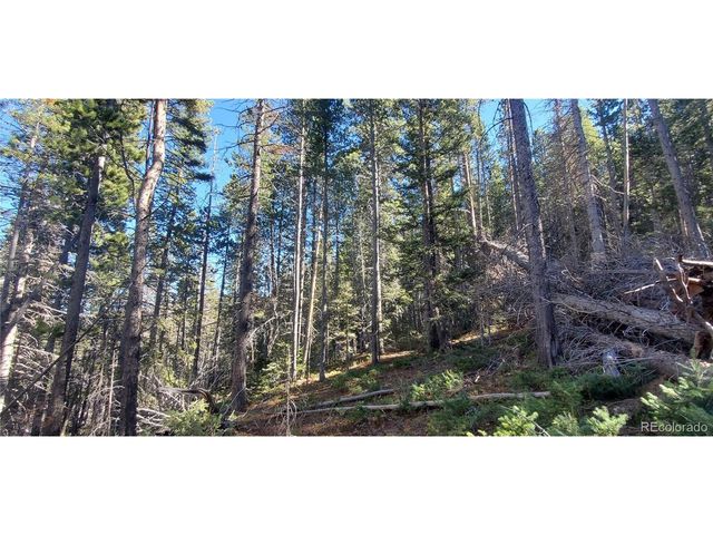 2999 Drexler Pl, Fort Garland, CO 81133