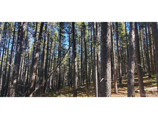 2999 Drexler Pl, Fort Garland, CO 81133