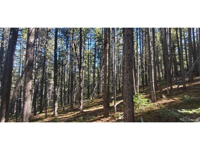 2999 Drexler Pl, Fort Garland, CO 81133