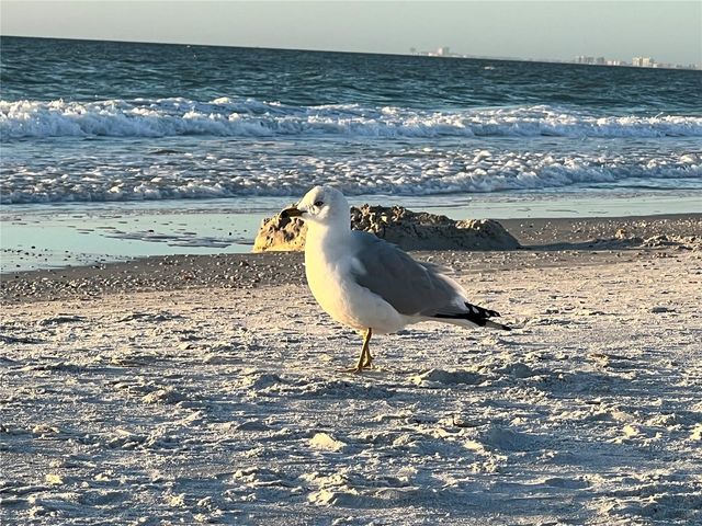 6250 HOLMES BOULEVARD 71, Holmes Beach, FL 34217