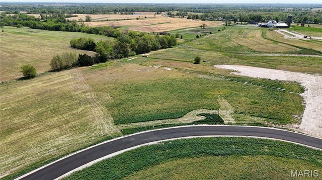 226 Autumn Hallow Ct, Old Monroe, MO 63369