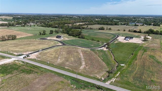 226 Autumn Hallow Ct, Old Monroe, MO 63369