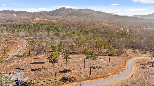 Lot 293 Twisted Oak Road, Talking Rock, GA 30175