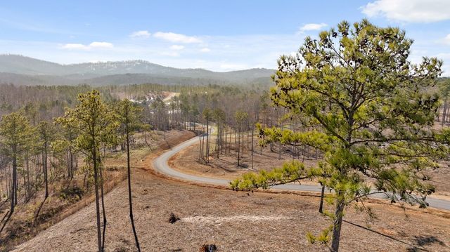 Lot 293 Twisted Oak Road, Talking Rock, GA 30175