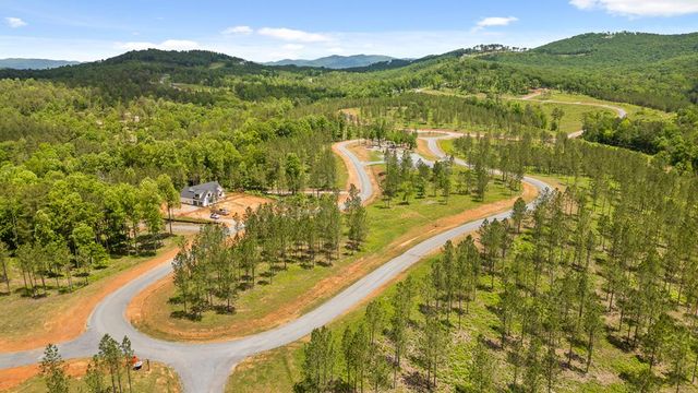 Lot 293 Twisted Oak Road, Talking Rock, GA 30175