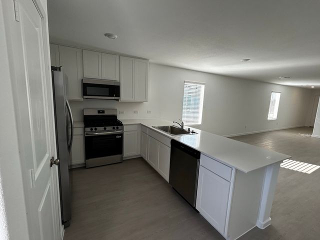 12443 Lost Rock Drive, Rhome, TX 76078