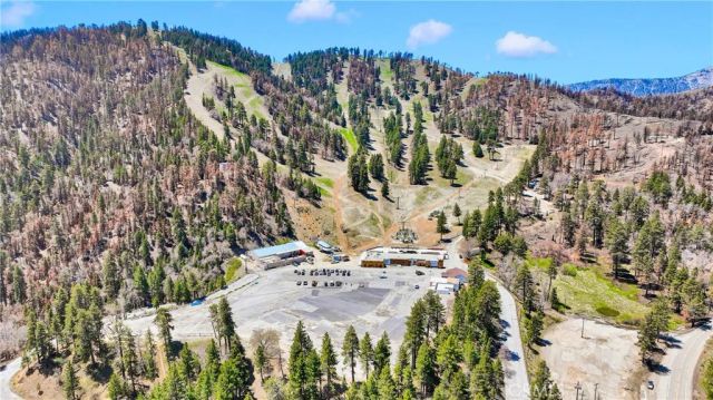 5744 Heath Creek Drive, Wrightwood, CA 92397