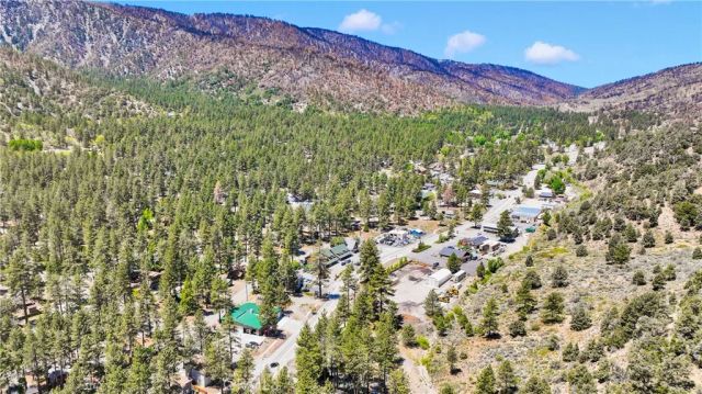 5744 Heath Creek Drive, Wrightwood, CA 92397