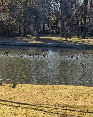 15823 Stagecoach Road, Stagecoach, TX 77355