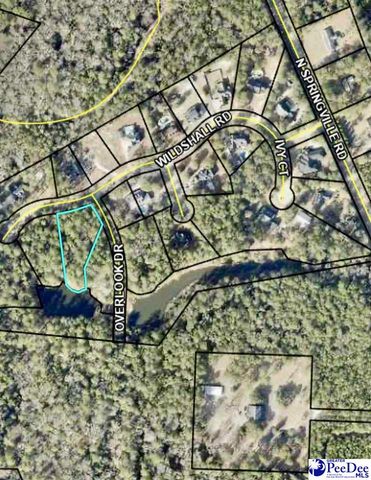 Lot 14 Wildshall Road, Darlington, SC 29540