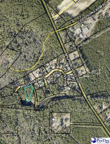 Lot 14 Wildshall Road, Darlington, SC 29540