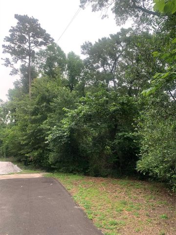 234 Boca Raton Drive, Conroe, TX 77304