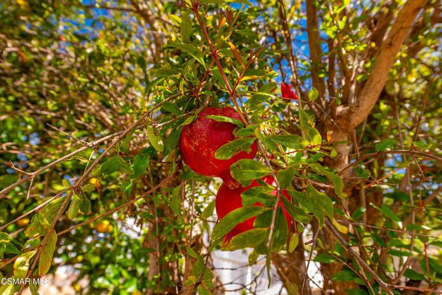 730 Creekmont Court, Ventura, CA 93003