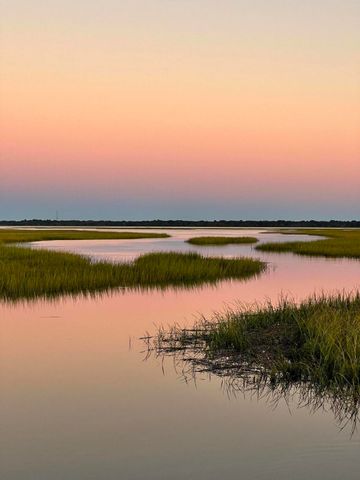 1596 Prince Edward Street, Mount Pleasant, SC 29466