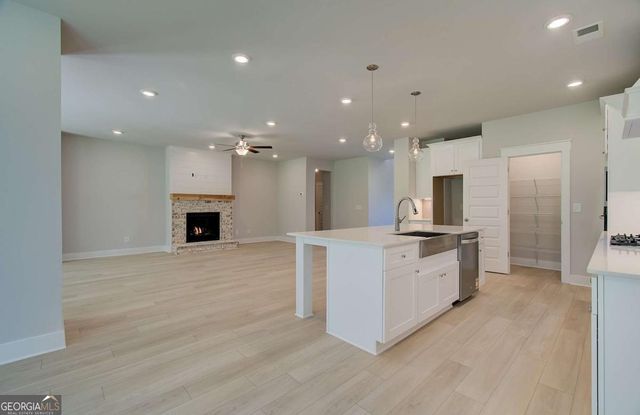 116 Homesite Saddle Drive, Senoia, GA 30276