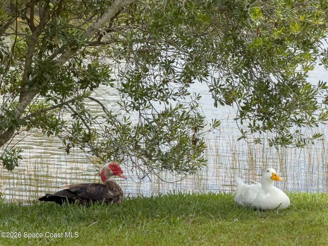 4500 Hunters Run Circle, Grant, FL 32949