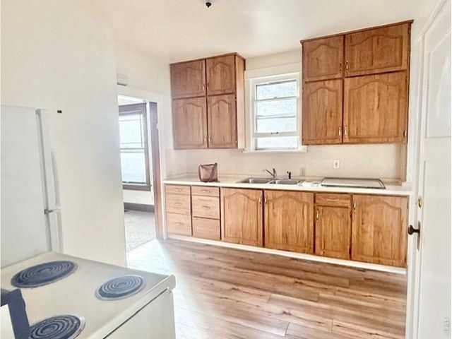 1525 11th Ave, Greeley, CO 80631