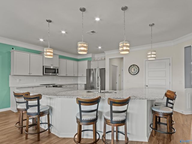 113 Story Ray Drive, New Market, AL 35761