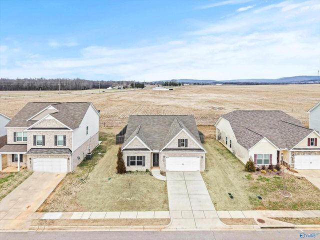 113 Story Ray Drive, New Market, AL 35761