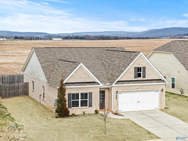 113 Story Ray Drive, New Market, AL 35761