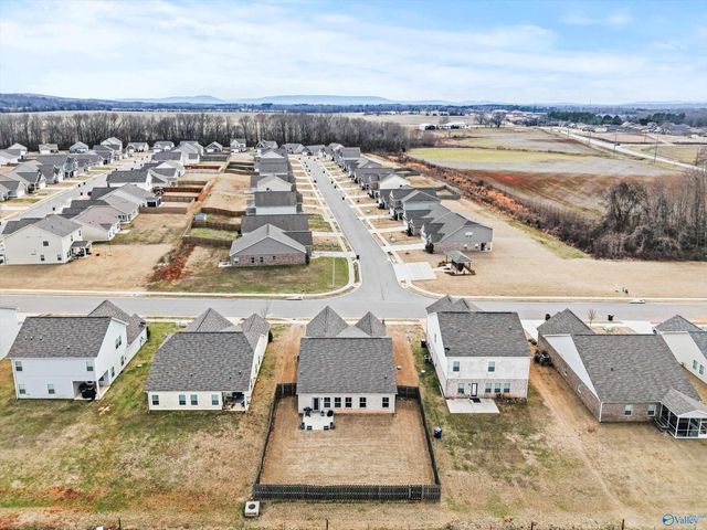 113 Story Ray Drive, New Market, AL 35761