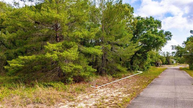 MAGNOLIA DRIVE, Ocklawaha, FL 32179