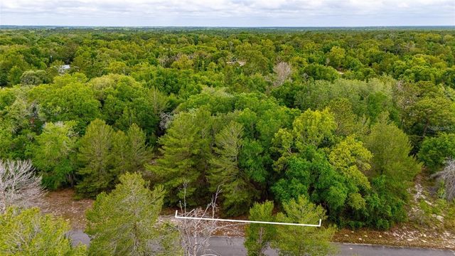 MAGNOLIA DRIVE, Ocklawaha, FL 32179