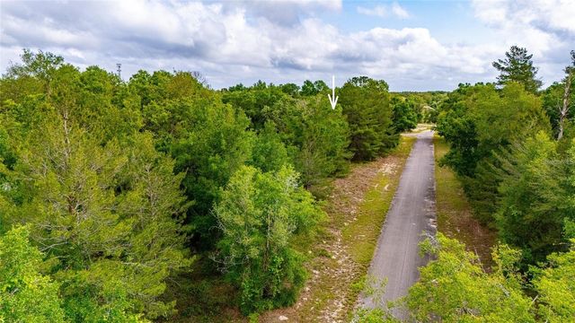 MAGNOLIA DRIVE, Ocklawaha, FL 32179