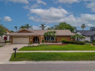 4119 CROSSWATER DRIVE, Tampa, FL 33615
