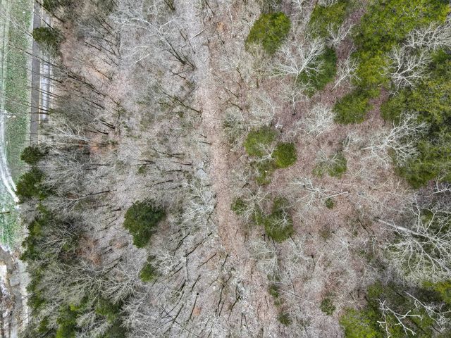 0 Sycamore Valley Rd, Lafayette, TN 37083
