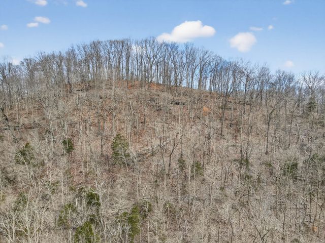 0 Sycamore Valley Rd, Lafayette, TN 37083