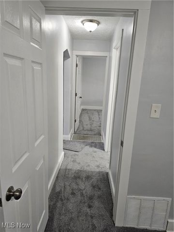 1124 Hammel Street, Akron, OH 44306