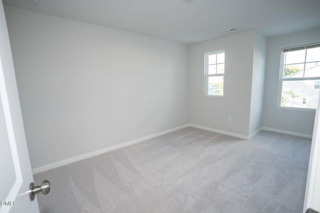 150 Ivy Vine Way, Raleigh, NC 27610