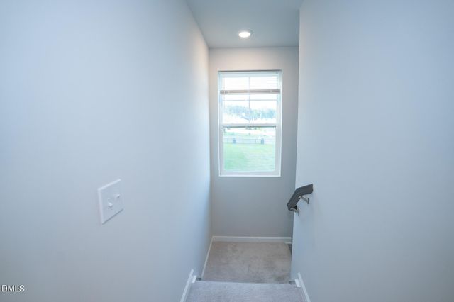 150 Ivy Vine Way, Raleigh, NC 27610