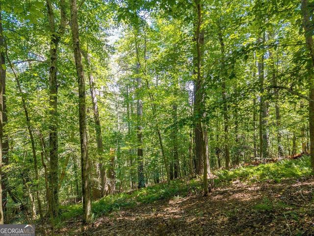 LOT 100 River Oaks Terrace, Ellijay, GA 30536