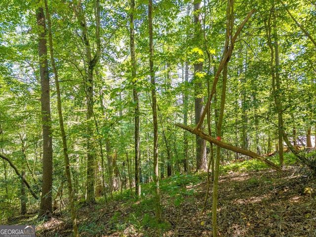 LOT 100 River Oaks Terrace, Ellijay, GA 30536