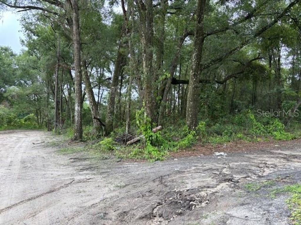 0000 SE 43RD TERRACE, Summerfield, FL 34491